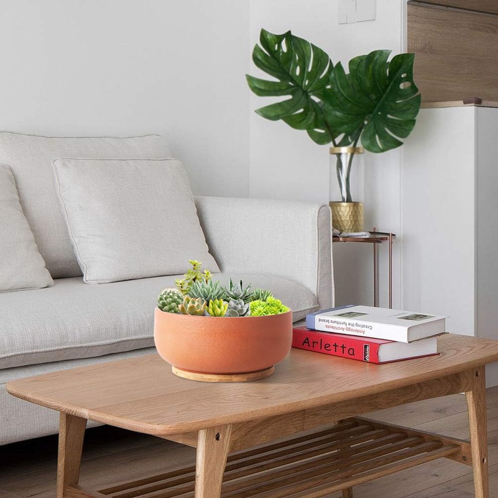 Ceramic flower pots buying guide: 3 steps to choose the right pots, plants grow stronger