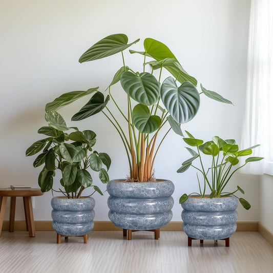Get the Perfect Fit: Ceramic Planter Size Tips for Tall Plants Like Monstera Pothos