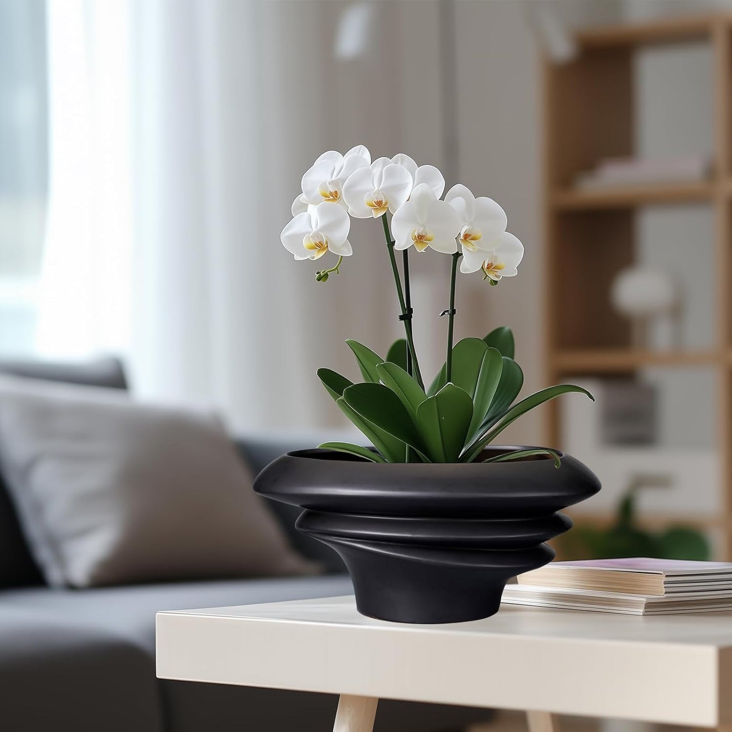 Bonsai Pot 8/12 Inch - Ceramic Succulent Planter with Drainage Hole Large Plant Pot for Indoor Plants Outdoor Modern Home Decor Black