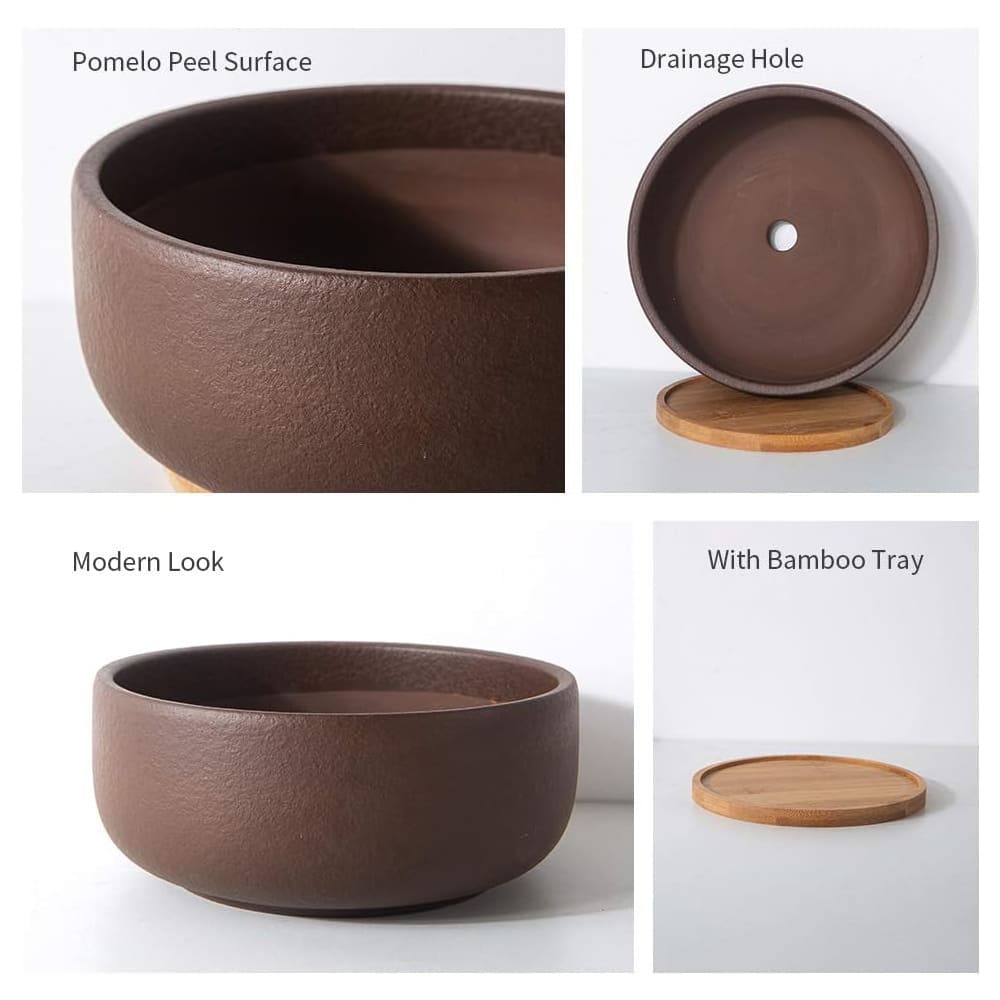 8/10" Large Terracotta Bonsai Planter with Bamboo Drainage Tray – Natural Clay, High-Temp Fired for Succulents, Cacti & Indoor/Outdoor Use