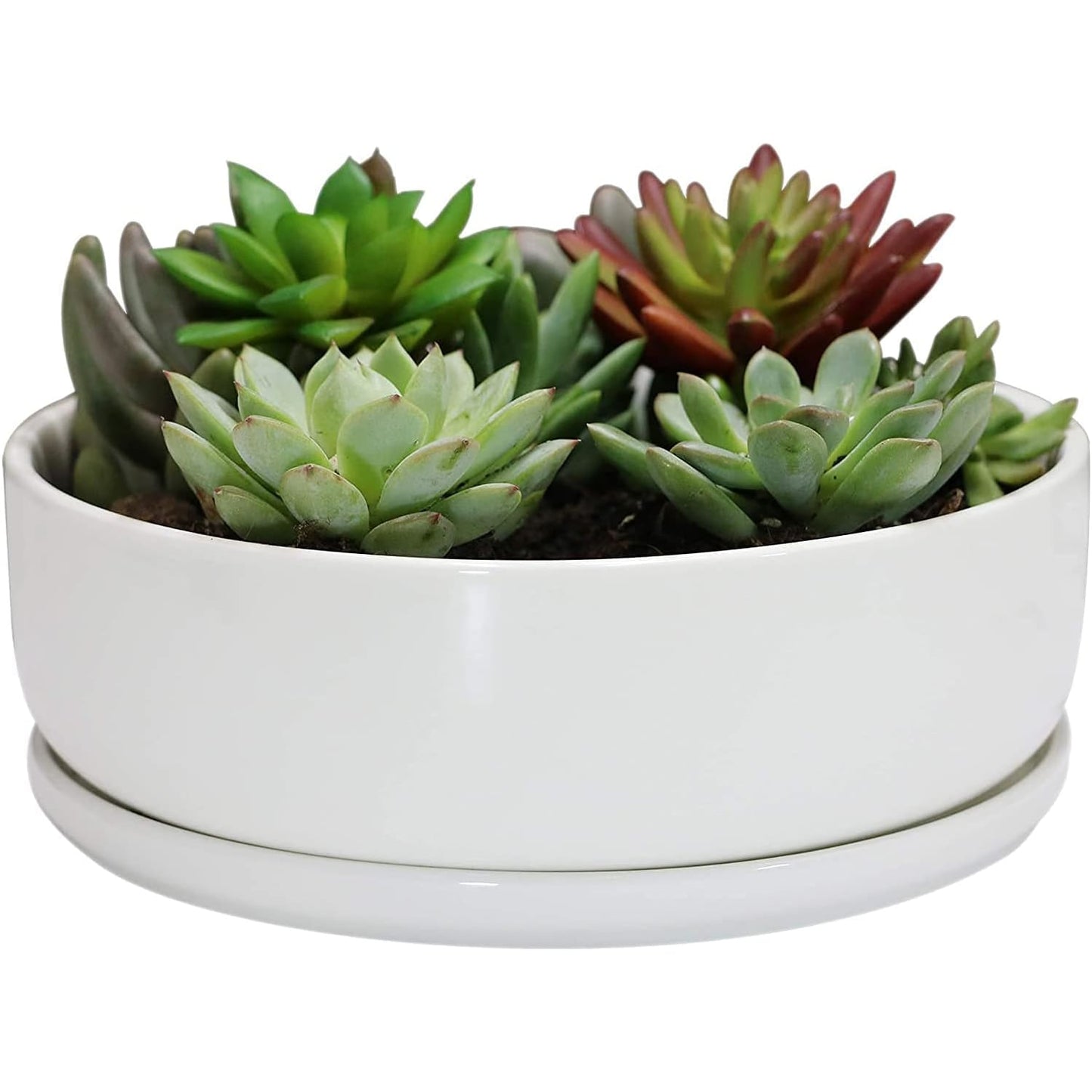 Bonsai Pots - 8 Inch Ceramic Matte Black Plant Pots for Succulents, Round Indoor Planter with Drainage Hole and Saucer, Shallow Modern Planter Bowl, Room Decor