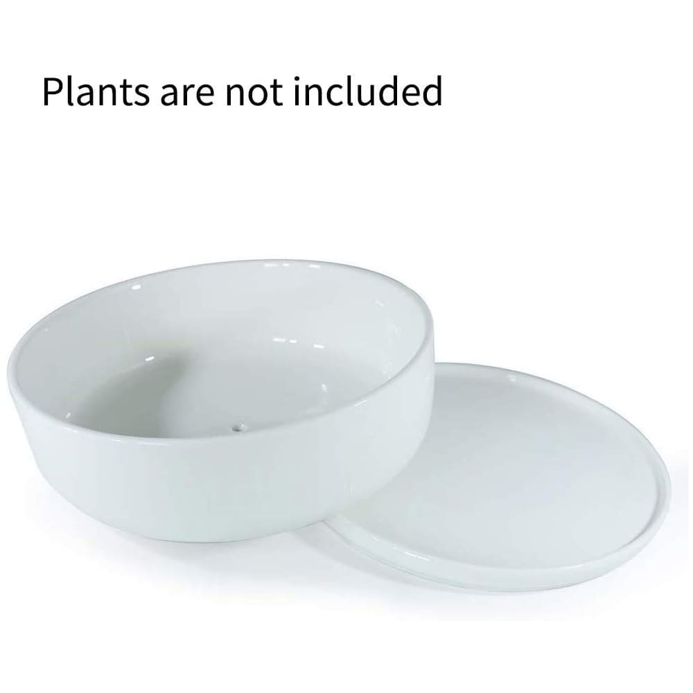 Bonsai Pots - 8 Inch Ceramic Matte Black Plant Pots for Succulents, Round Indoor Planter with Drainage Hole and Saucer, Shallow Modern Planter Bowl, Room Decor