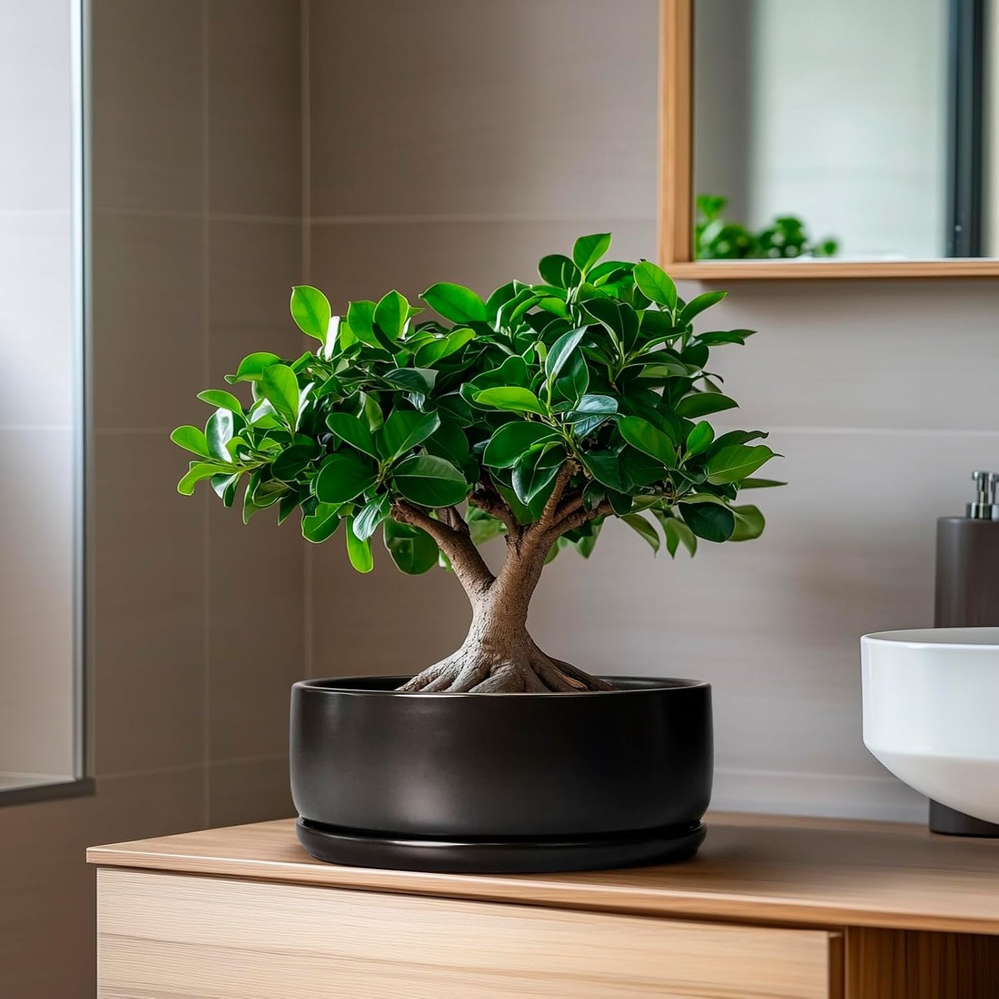 Bonsai Pots - 8 Inch Ceramic Matte Black Plant Pots for Succulents, Round Indoor Planter with Drainage Hole and Saucer, Shallow Modern Planter Bowl, Room Decor