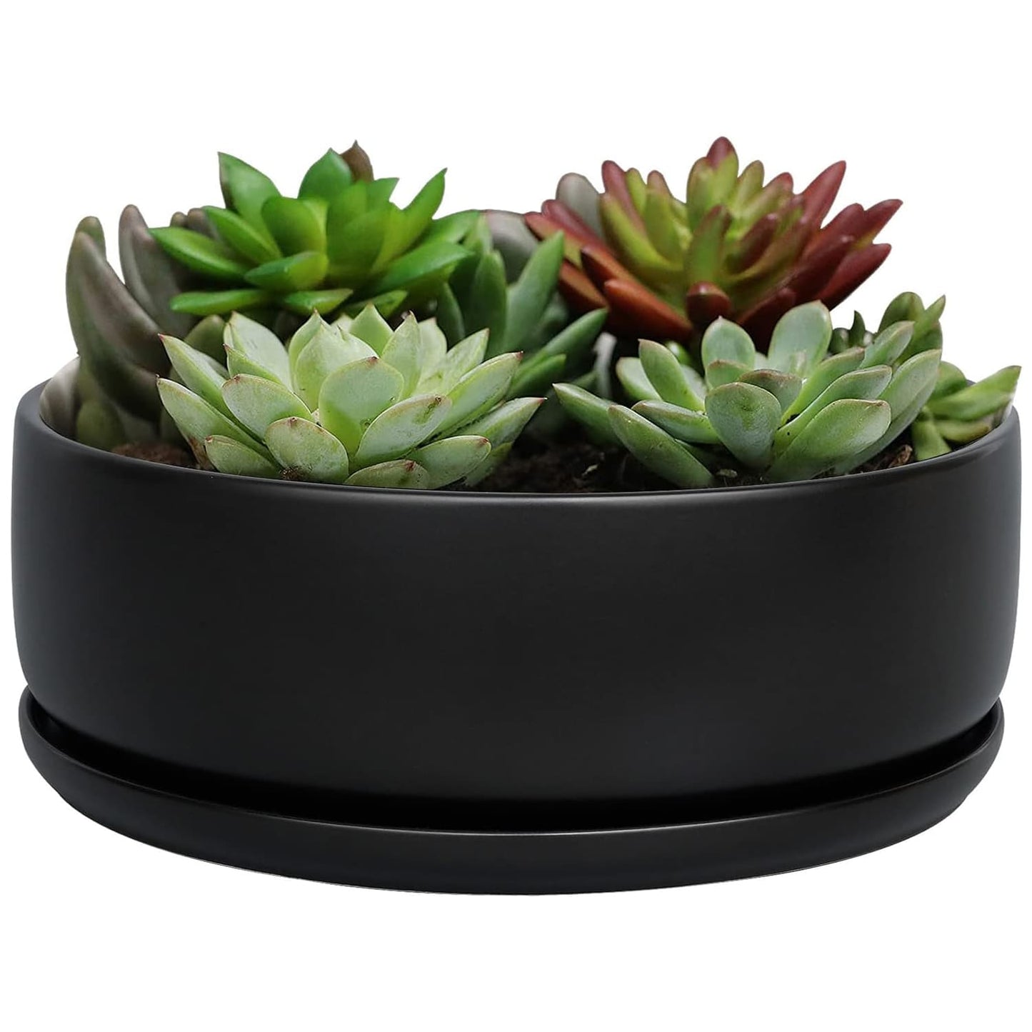 Bonsai Pots - 8 Inch Ceramic Matte Black Plant Pots for Succulents, Round Indoor Planter with Drainage Hole and Saucer, Shallow Modern Planter Bowl, Room Decor