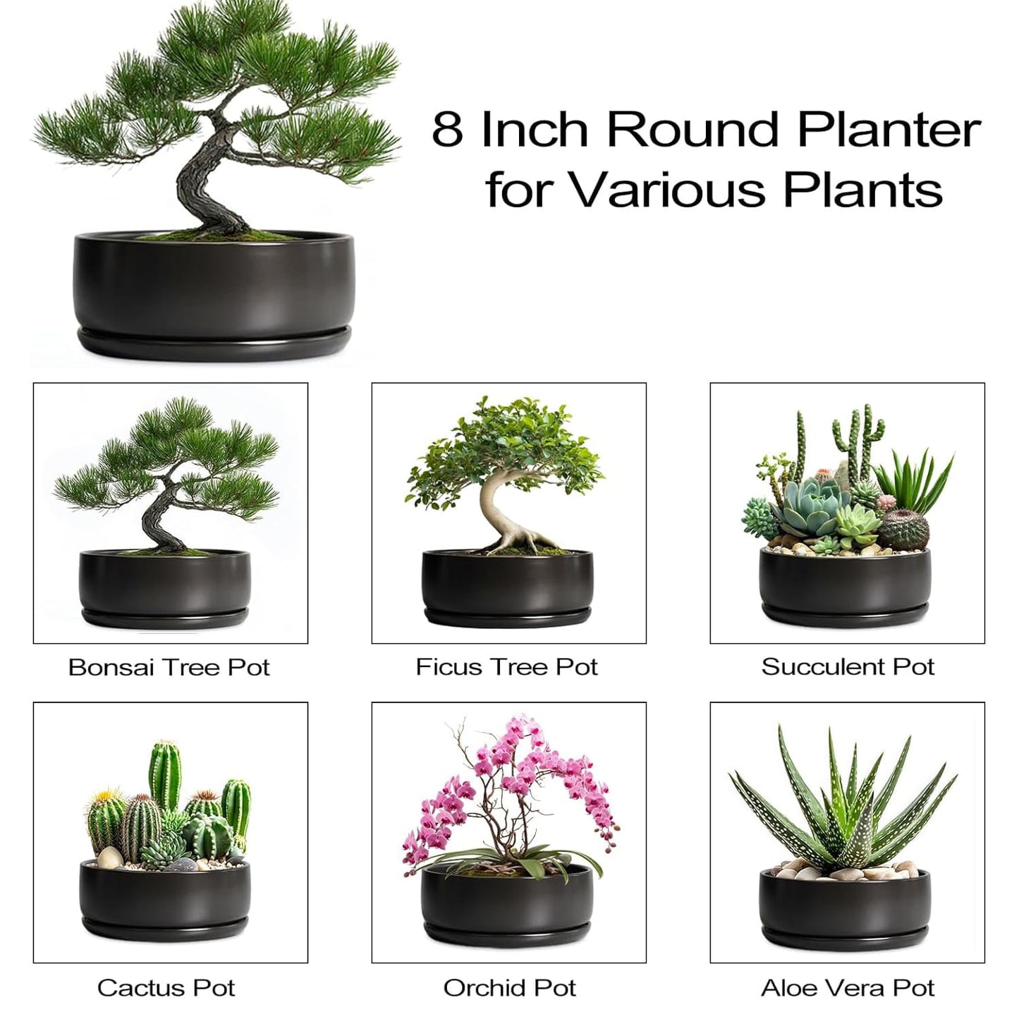 Bonsai Pots - 8 Inch Ceramic Matte Black Plant Pots for Succulents, Round Indoor Planter with Drainage Hole and Saucer, Shallow Modern Planter Bowl, Room Decor