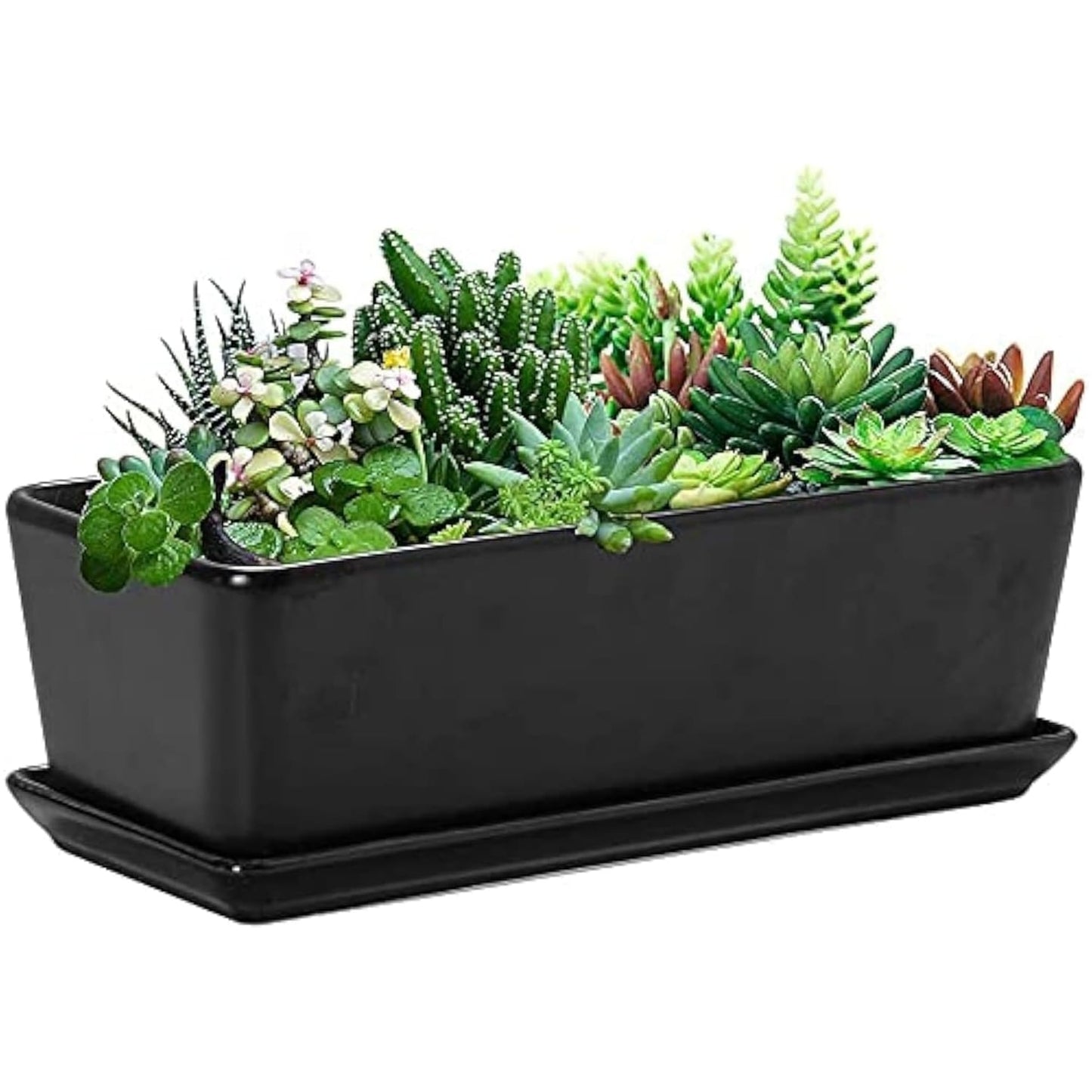 10  inch Ceramic Rectangular Succulent Planter  Elegant White Window Box Flower Pot with Saucer for Indoor Plants