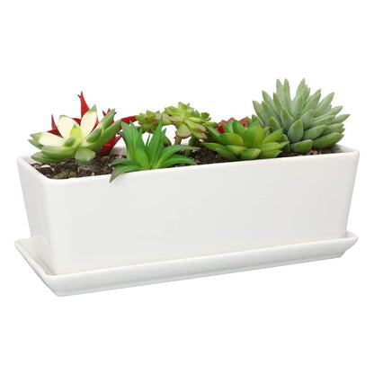 10  inch Ceramic Rectangular Succulent Planter  Elegant White Window Box Flower Pot with Saucer for Indoor Plants