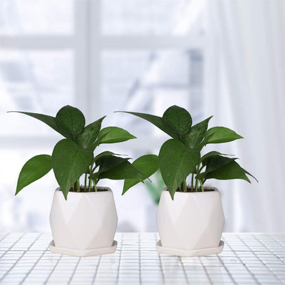 4 inch Ceramic Geometric Succulent Planter Pots with Removable Saucer,Indoor Plant Pots Set of 3