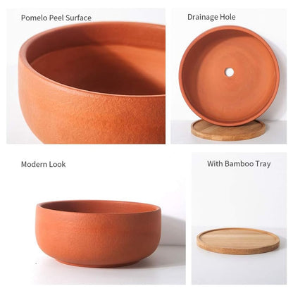 8/10" Large Terracotta Bonsai Planter with Bamboo Drainage Tray – Natural Clay, High-Temp Fired for Succulents, Cacti & Indoor/Outdoor Use