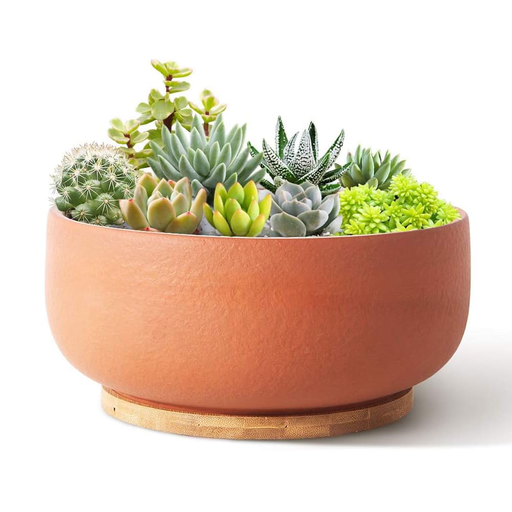 8/10" Large Terracotta Bonsai Planter with Bamboo Drainage Tray – Natural Clay, High-Temp Fired for Succulents, Cacti & Indoor/Outdoor Use