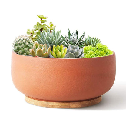 8/10" Large Terracotta Bonsai Planter with Bamboo Drainage Tray – Natural Clay, High-Temp Fired for Succulents, Cacti & Indoor/Outdoor Use
