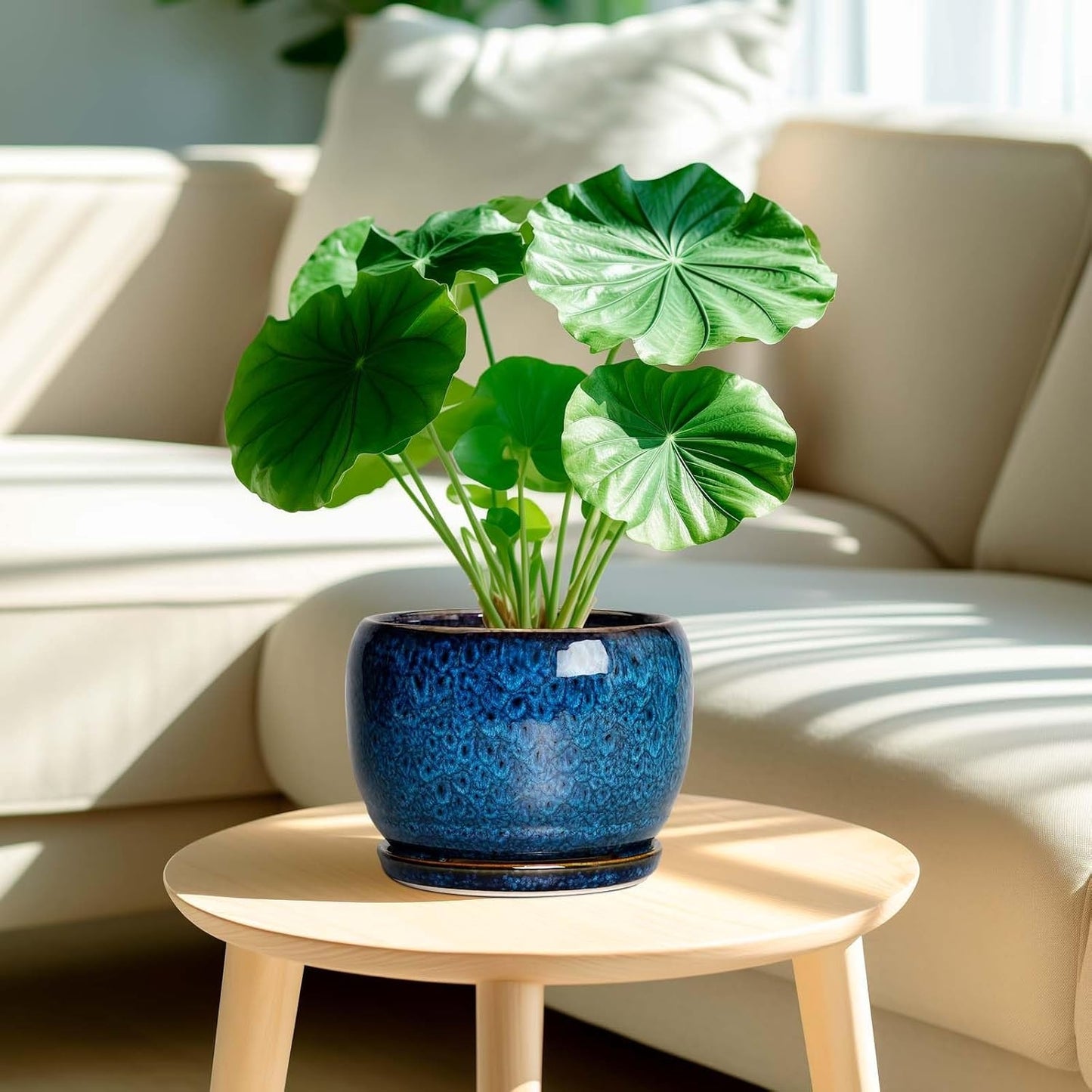 Ceramic Planter 6/7.8/10 Inch - Pot for Indoor Outdoor Plants Round Ceramic Plant Pot with Drainage Hole and Saucer Modern Flower Pot Glazed Blue